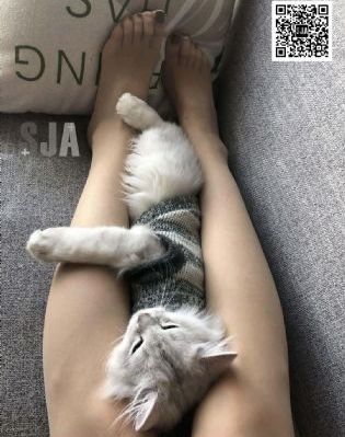 国产精品十八福利_DVD在线观看视频