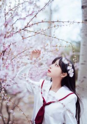 国产芯片封测龙头股_DVD在线观看高清